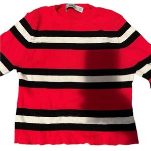 Zara Knit top
